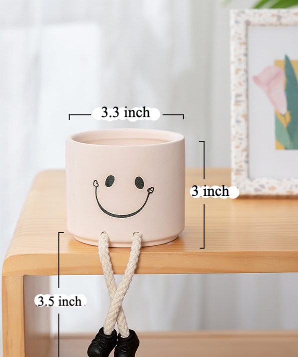 Indoor Plant Pot(smile)